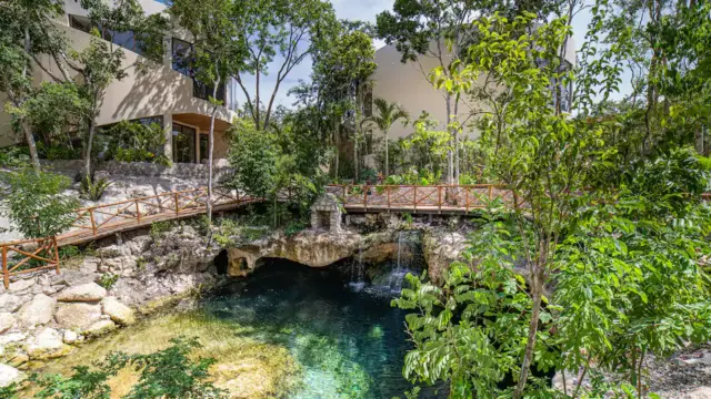 Amazing Luxury Studio with cenote