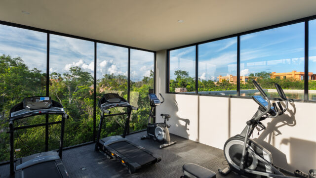 GIMNASIO
