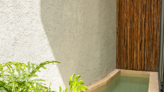 Copia de XAANA- DEPA-27