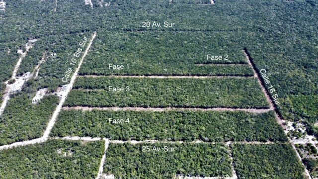 EXCLUSIVOS LOTES RESIDENCIALES EN TULUM – ALTA PLUSVALÍA