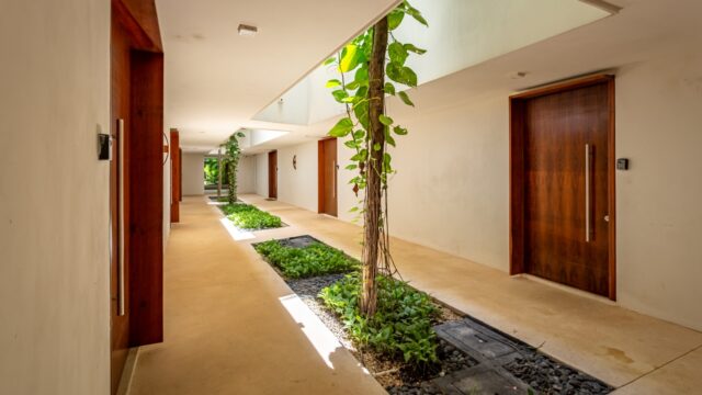 WhatsApp Image 2026-03-10 at 8.21.30 AM