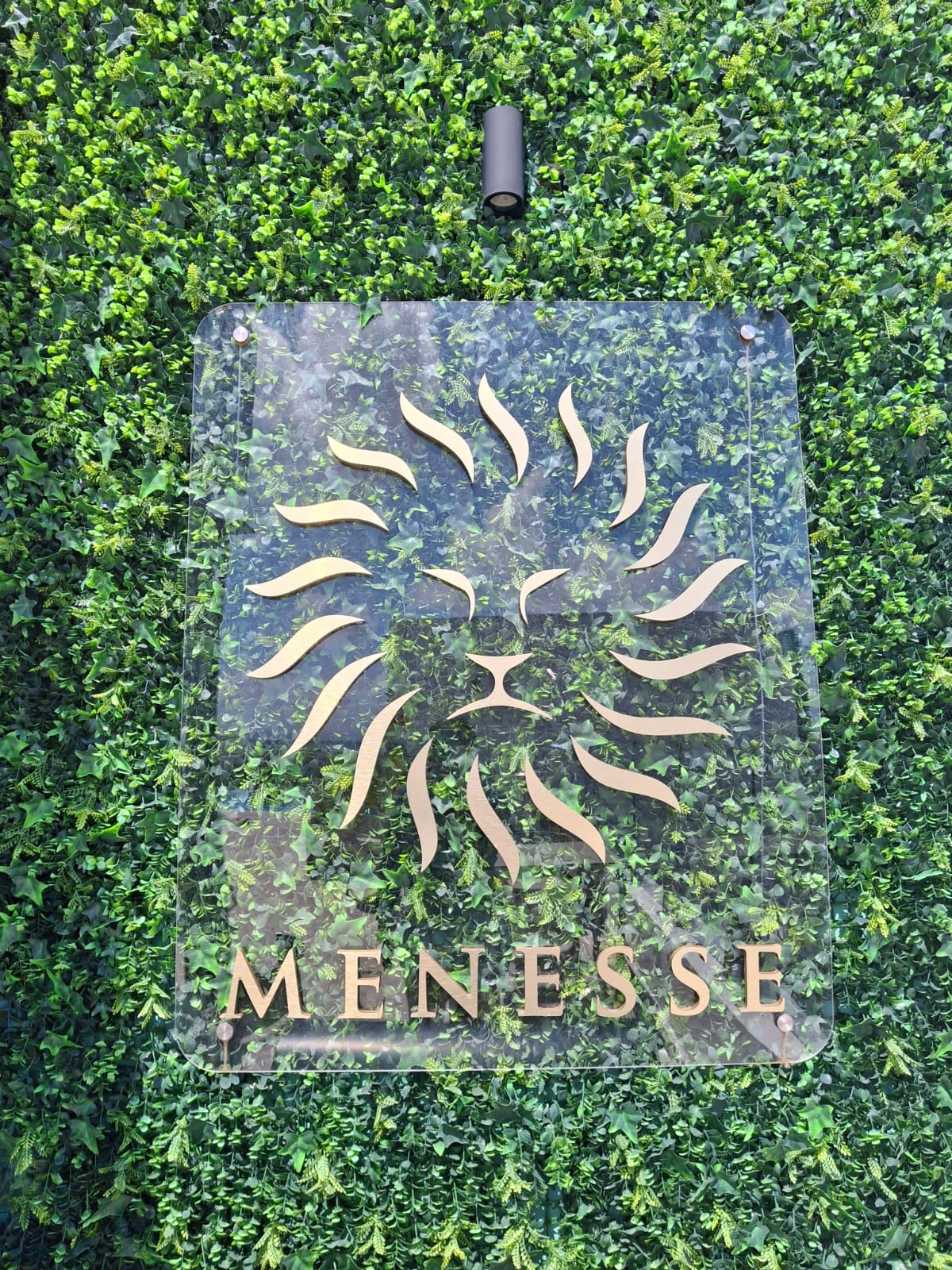 Details Image