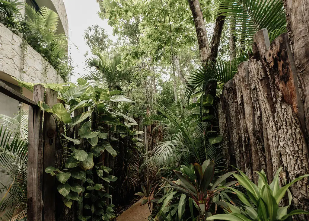Casa Coco 26