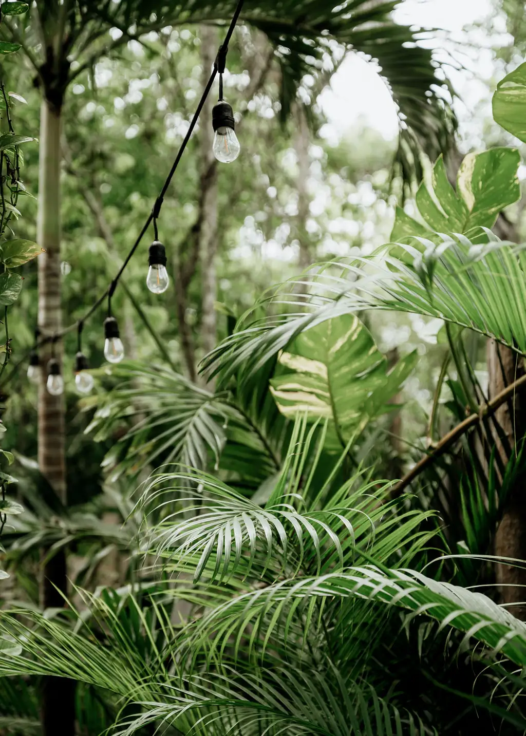 Casa Coco 29